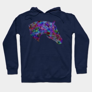 Glam Rainbow Metallic Horse Hoodie